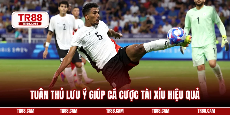 Tuân thủ lưu ý giúp cá cược tài xỉu hiệu quả